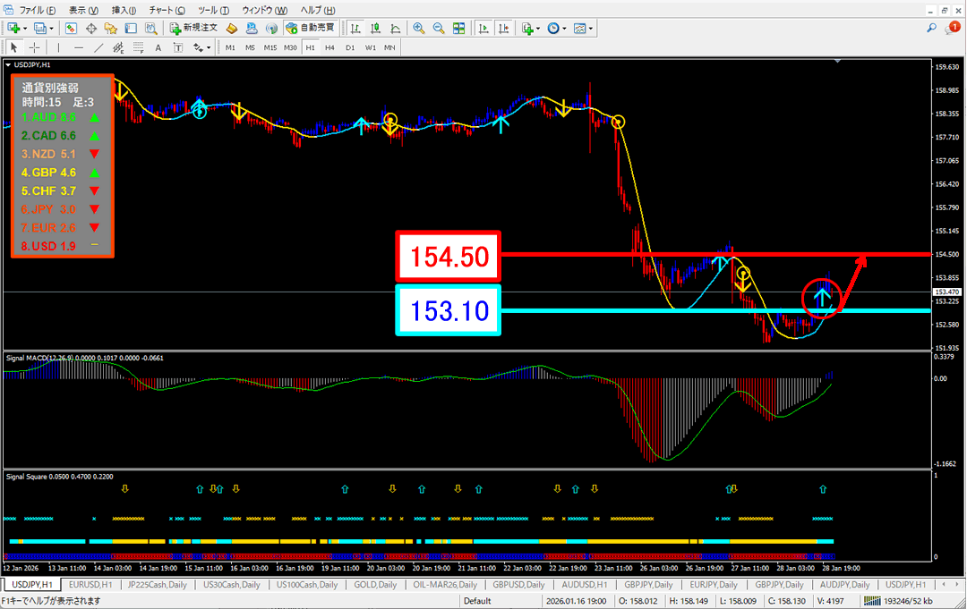 FX為替相場予想チャート