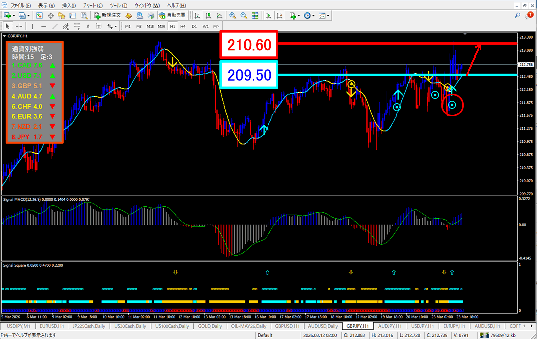 FX為替相場予想チャート